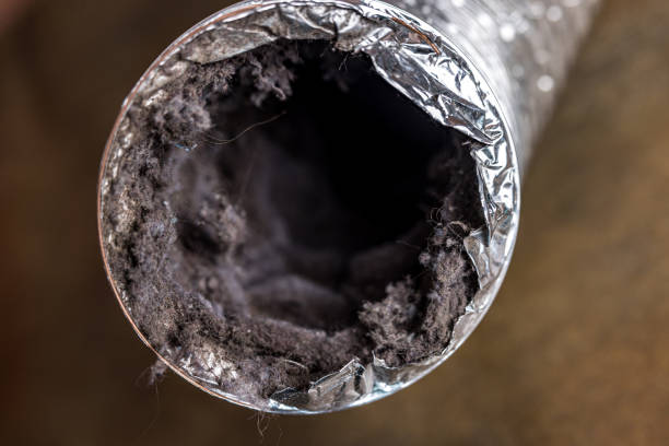 Best HVAC Maintenance and Cleaning  in Farragut, TN